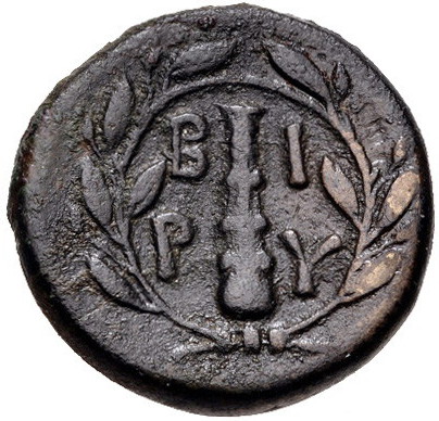 Troas Birytis b.jpg