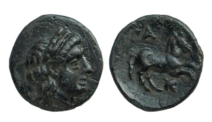 Troas Garg400.jpg