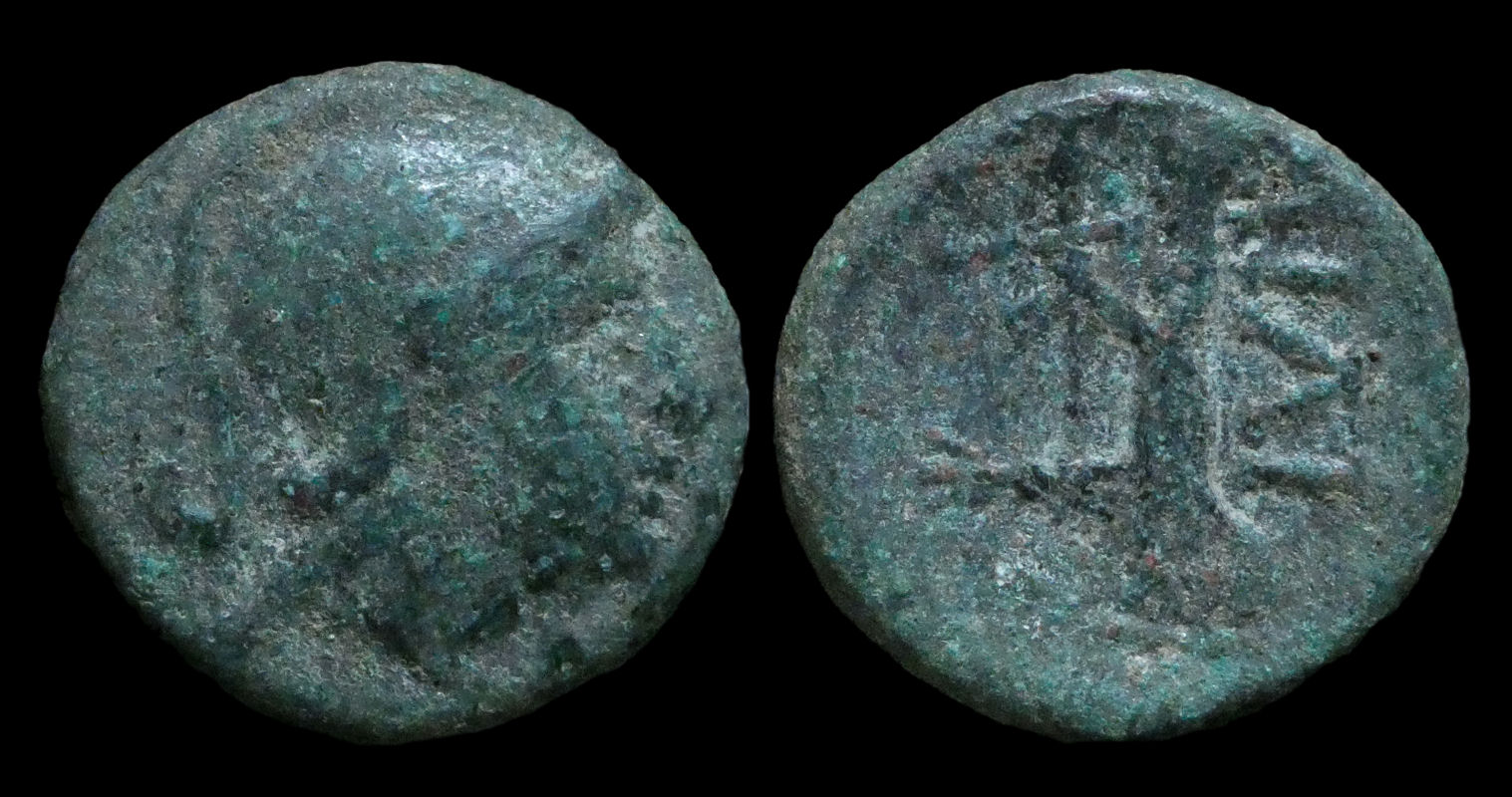 TROAS Ilion - AE14 Athena 315.JPG