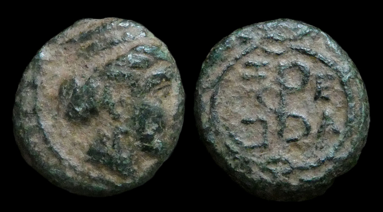 TROAS Zeleia - AE10 321.JPG