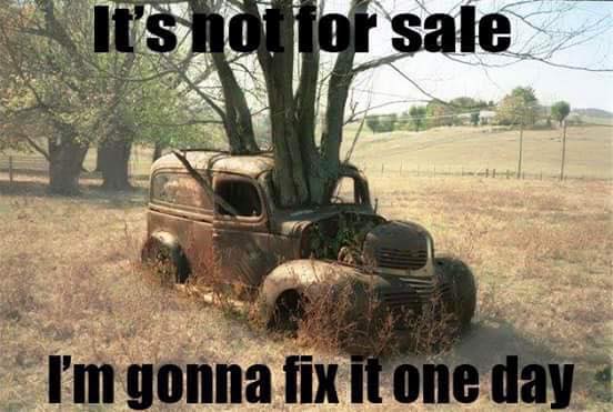 truck n tree.jpg