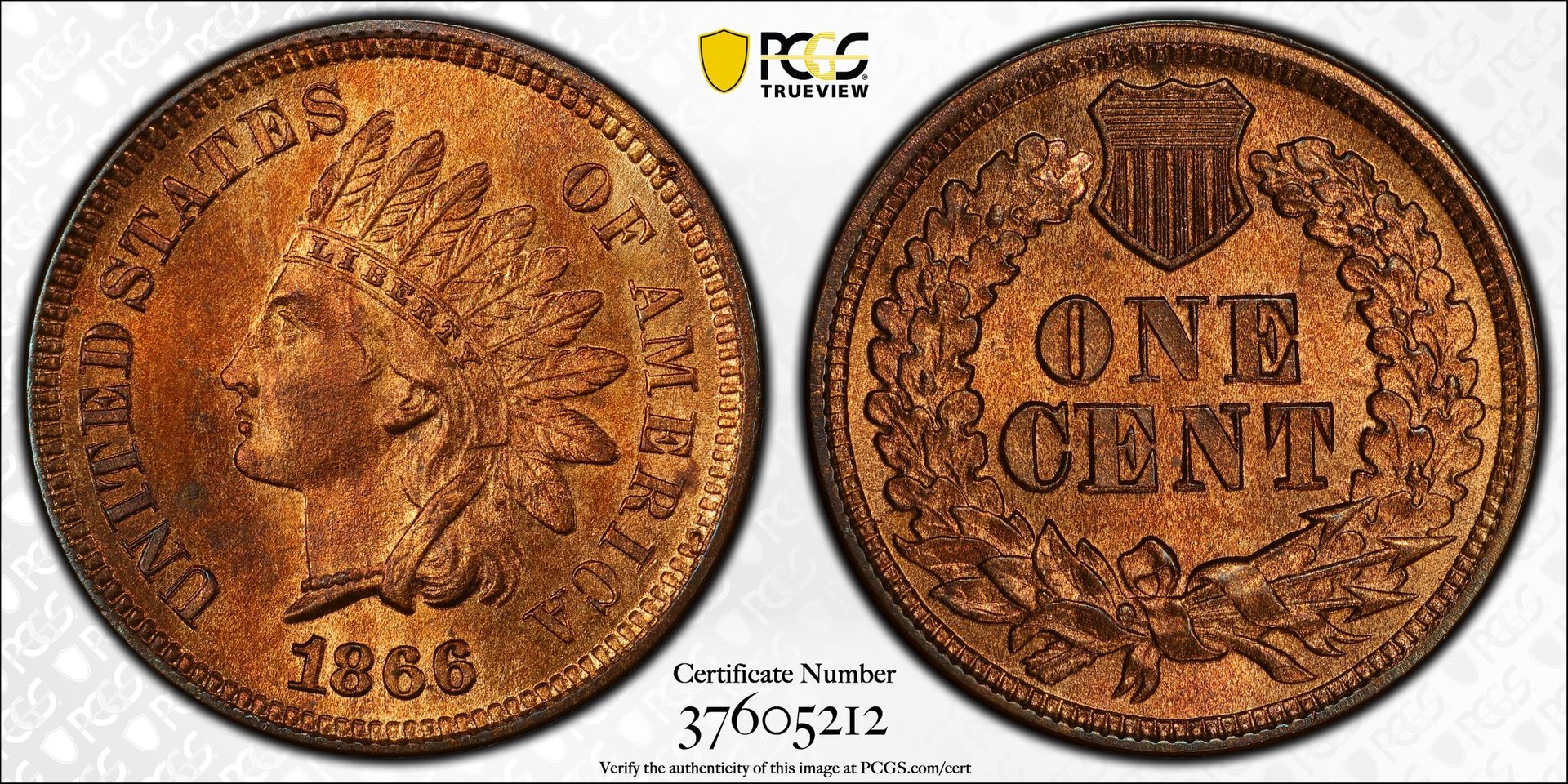 TrueView 37605212.jpg