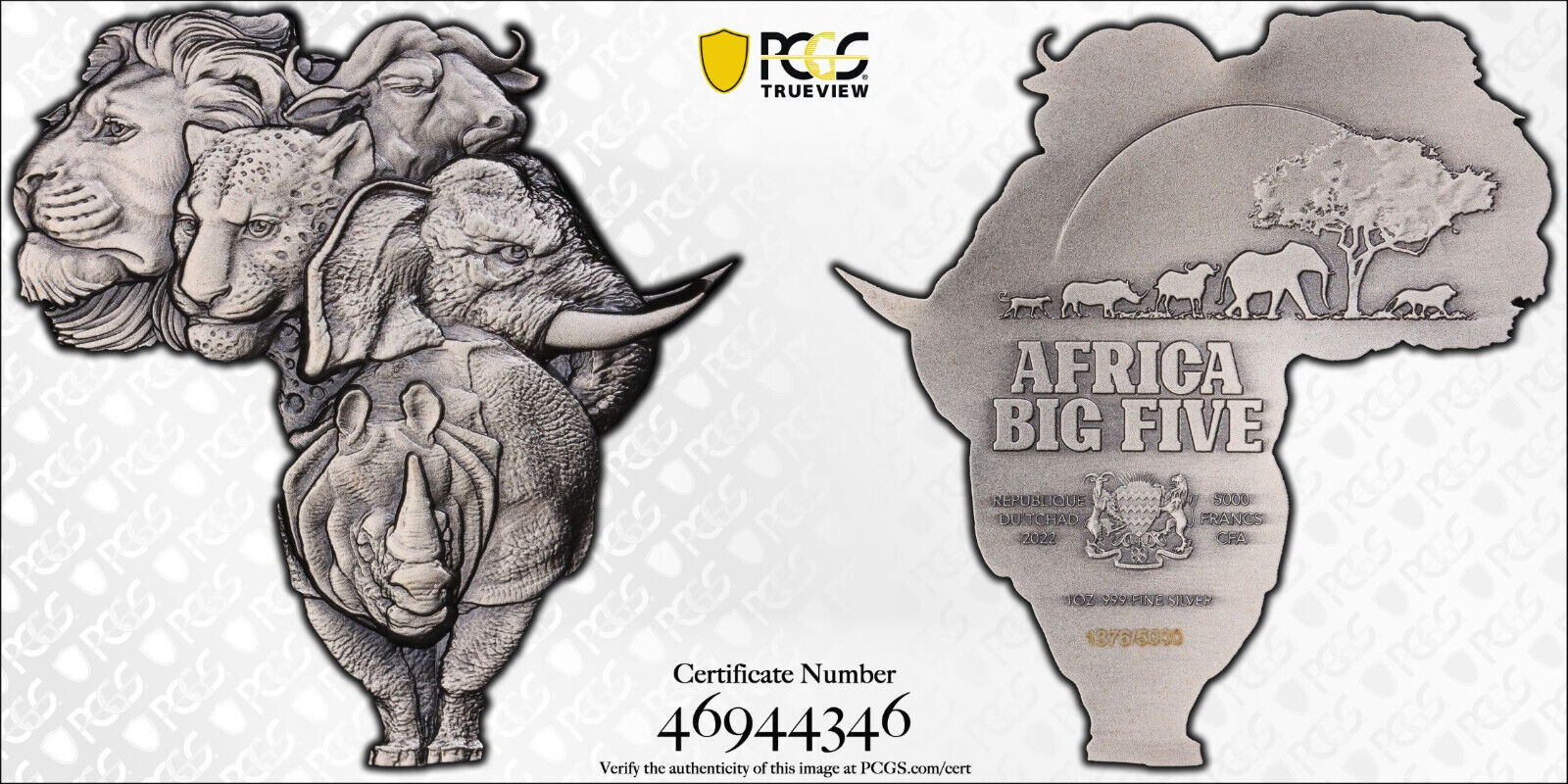 TrueView - Big 5.jpg