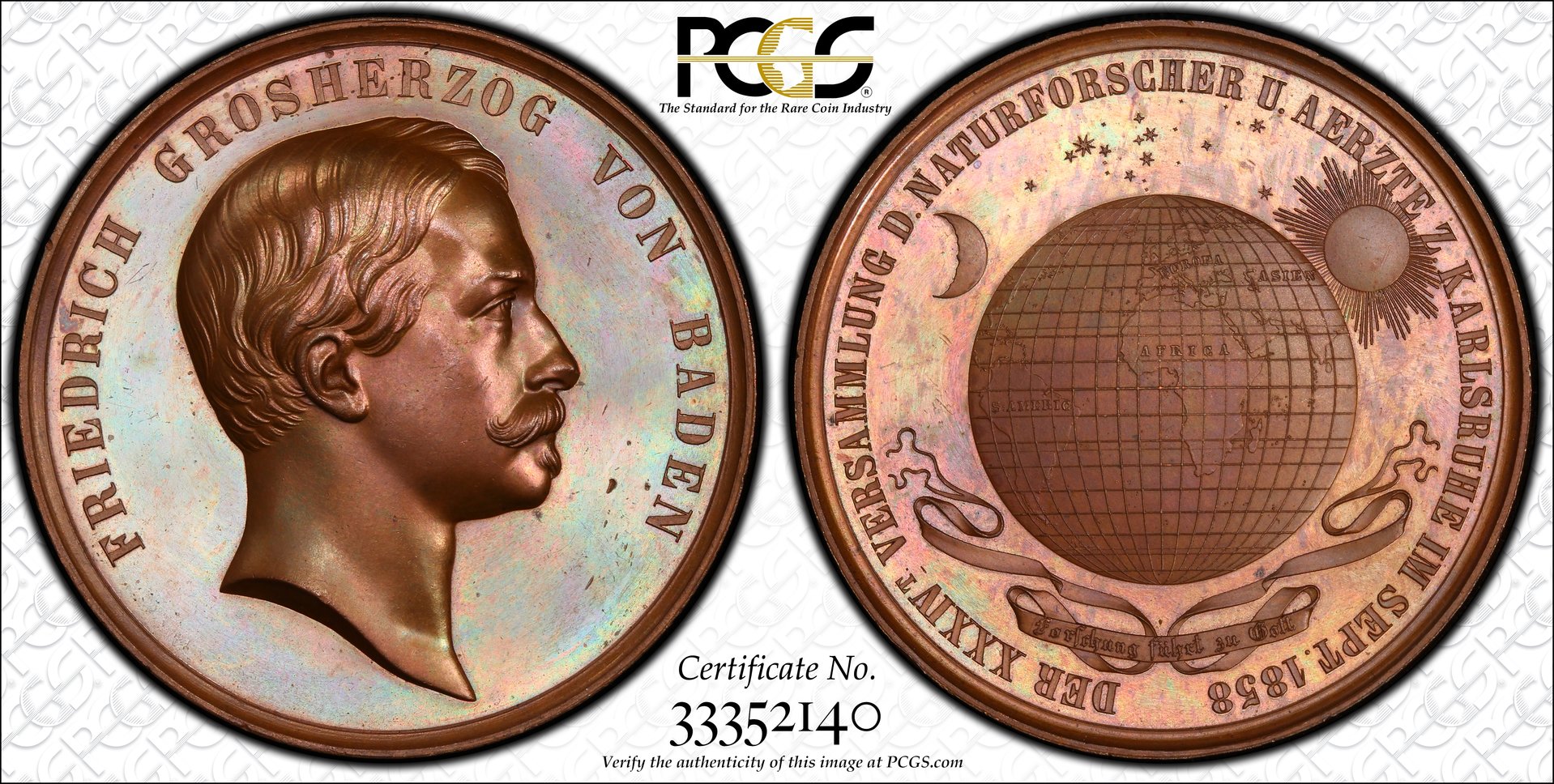 TrueView_33352140_Max.jpg