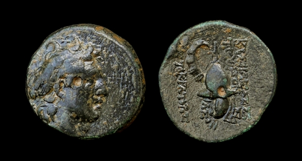 tryphon 6.jpg