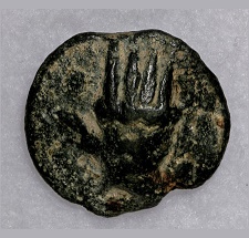 Tuder aes grave Coin Talk.jpg