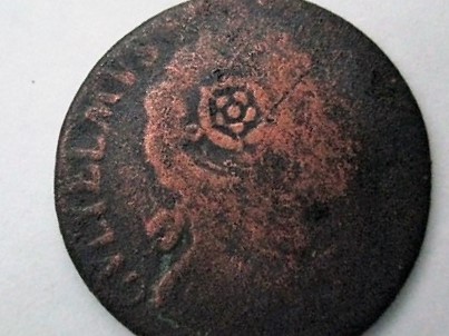 Tudor Rose 1.JPG