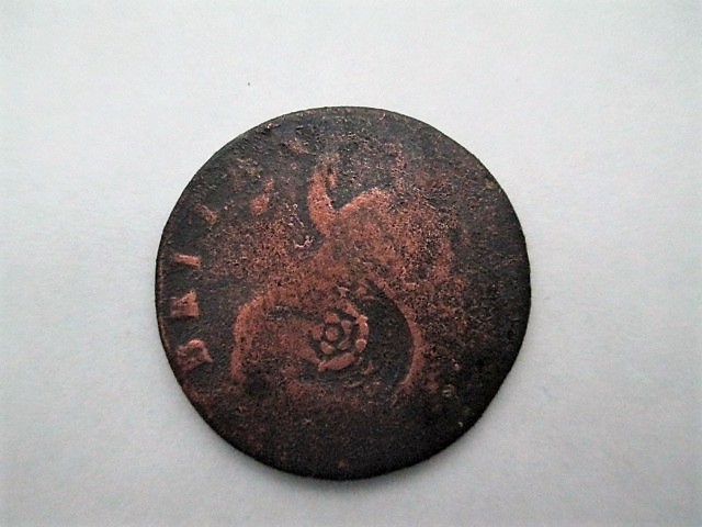 Tudor Rose 3.JPG