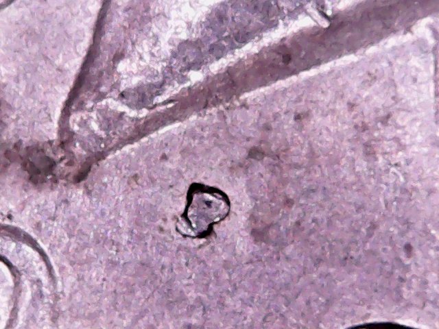 Tue Apr 02 17-25-48.jpg