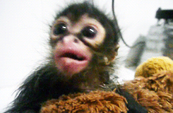 tumblr-talazia-hbu.gif