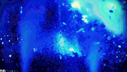 tumblr_m695wdbd4w1ro9dc3o1_250.gif