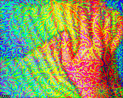 tumblr_nxqj1moWw11tre1zbo1_400.gif