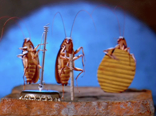 tumblr_oebw60otwL1udh5n8o1_500.gif