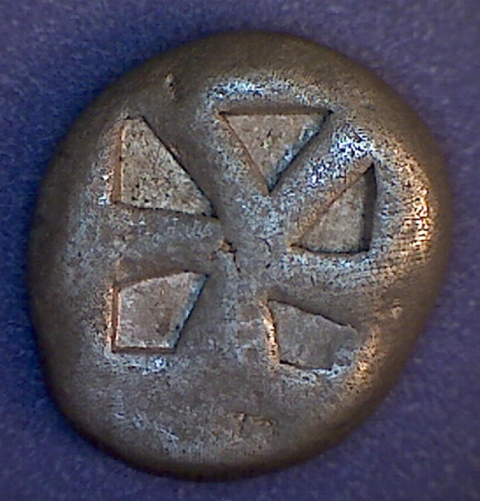 turtle b (1).jpg