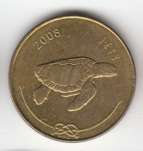 Turtle.jpg