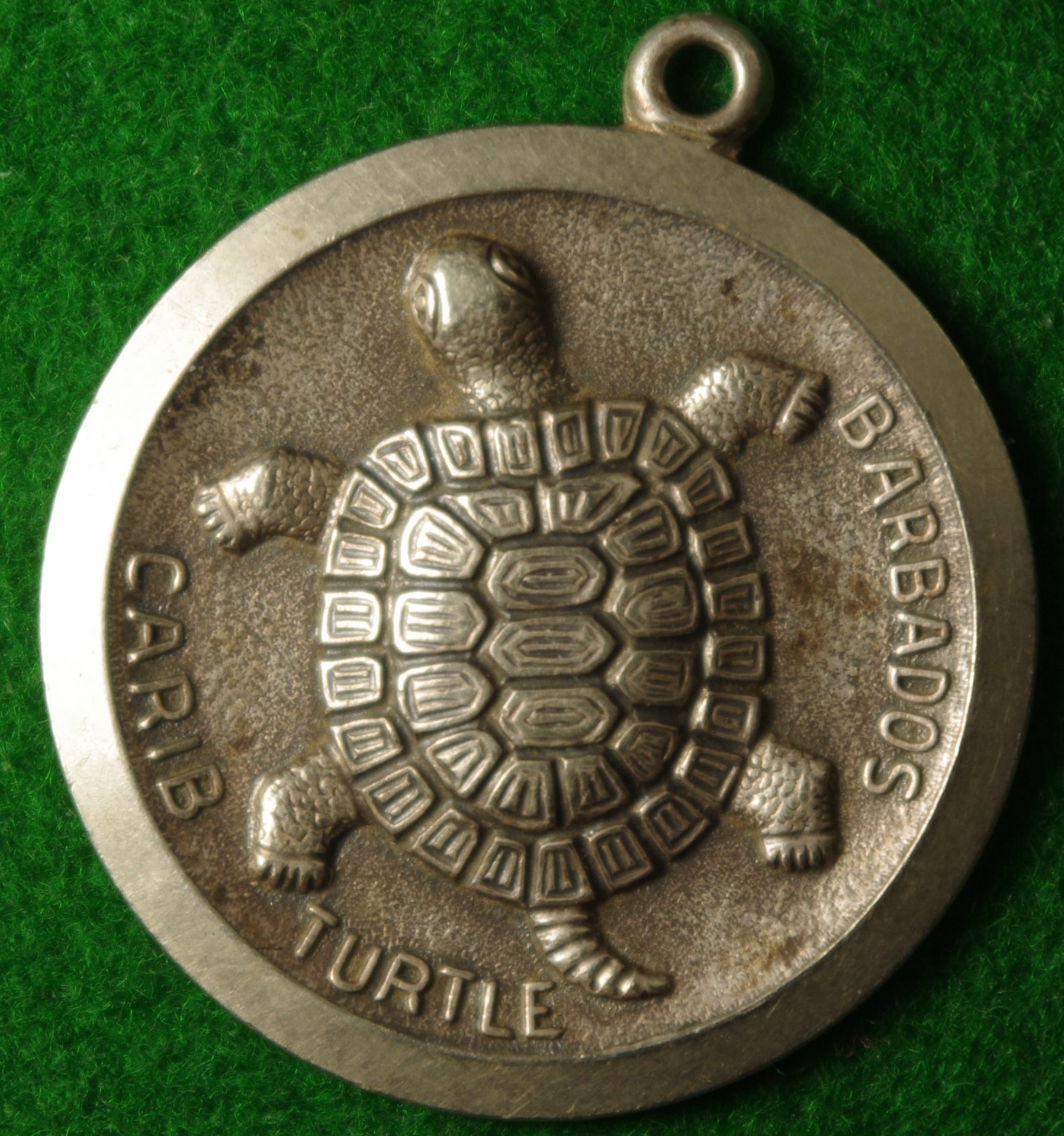Turtle Medallion.JPG