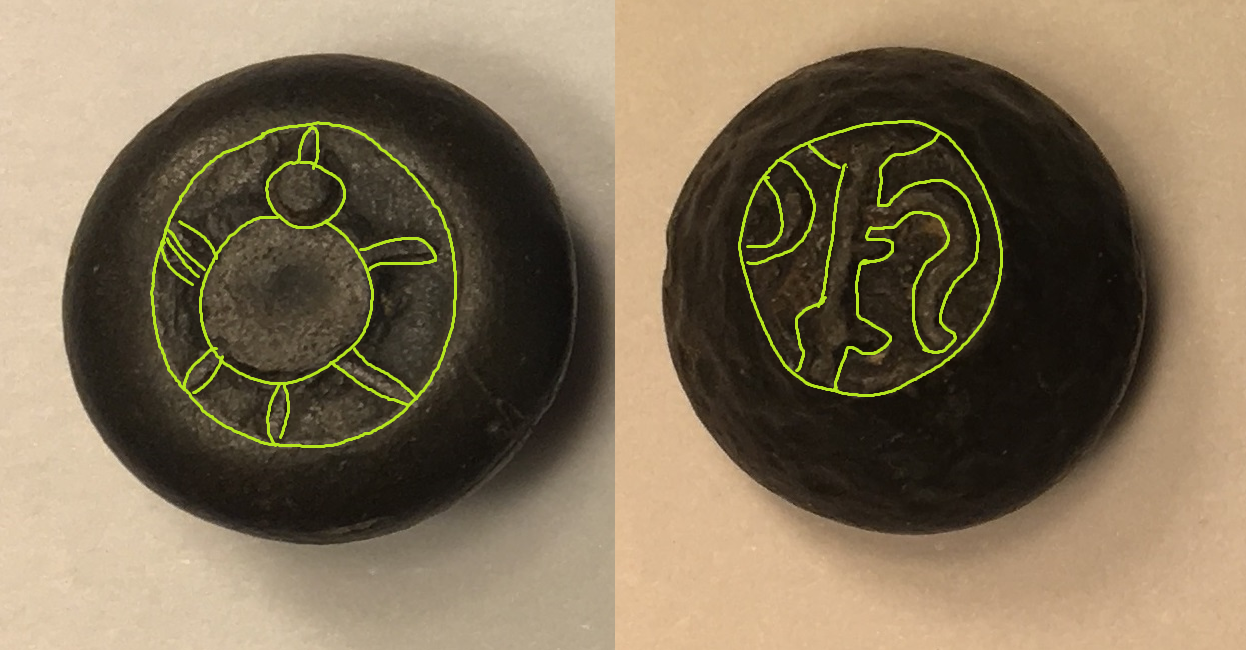 Turtle.png