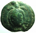 turtle wheel.jpg