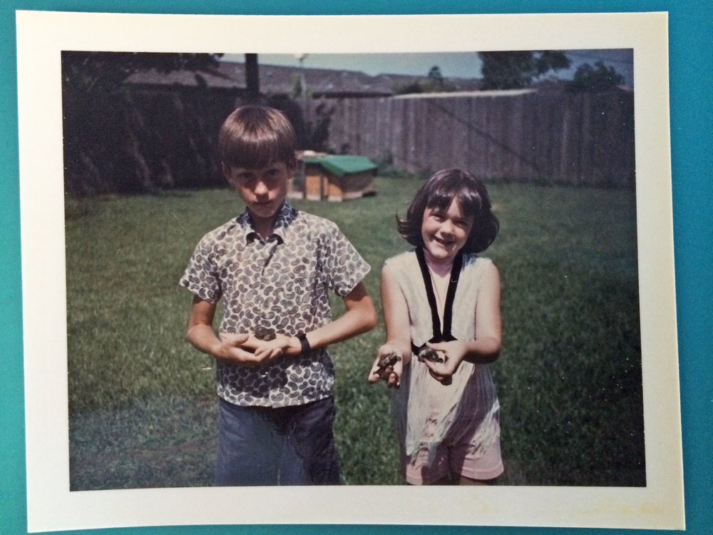 Turtles1970.jpg