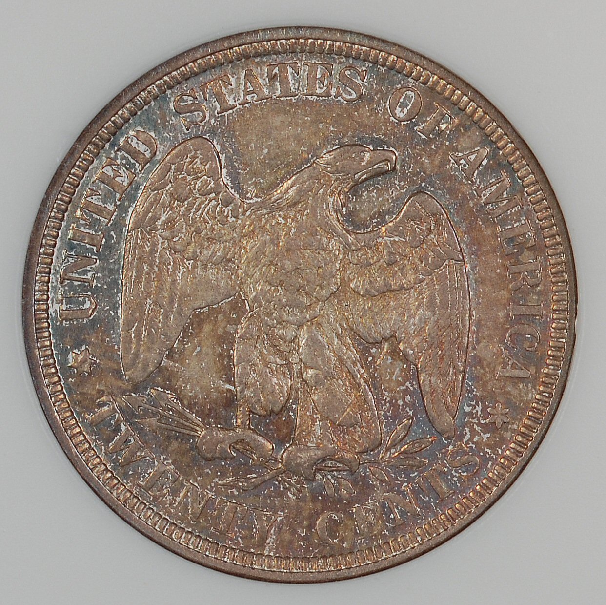 twenty cent 1875 rev.jpg
