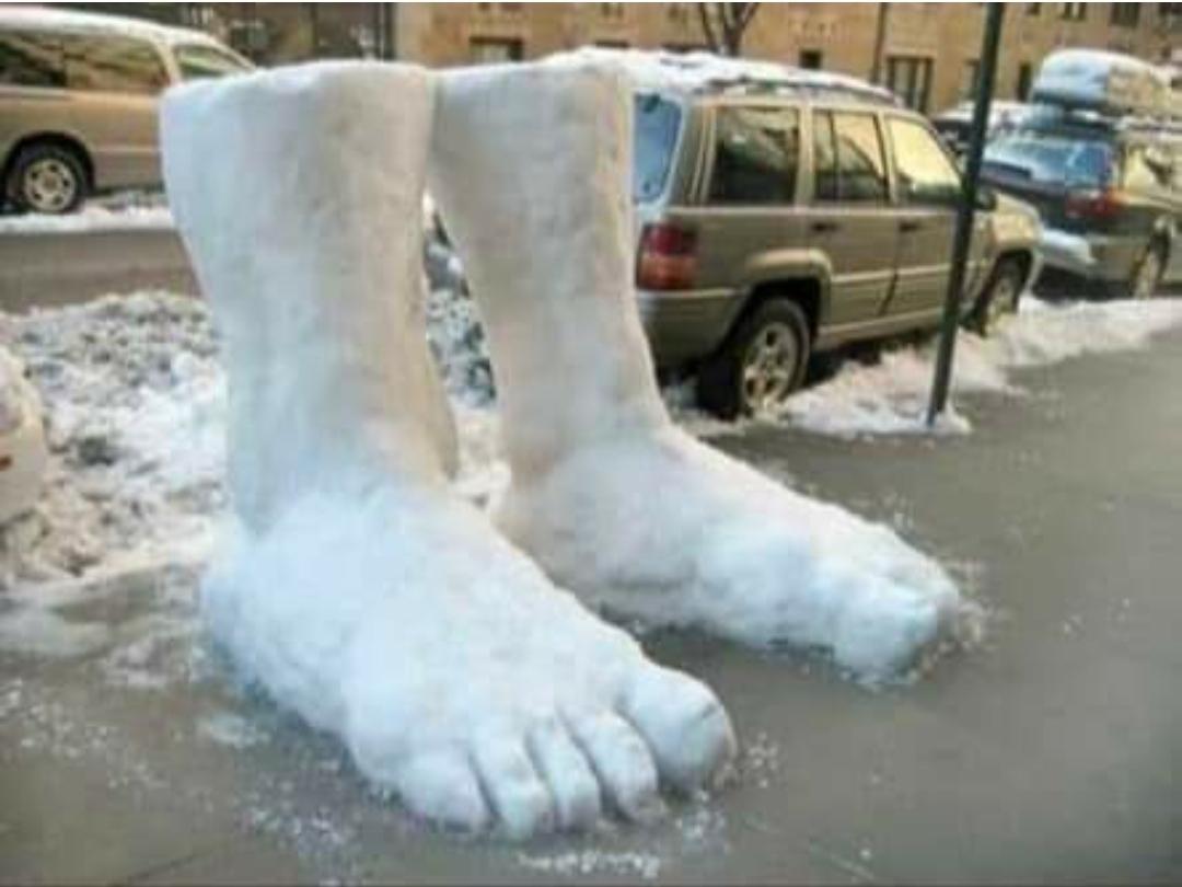 two feet of snow.jpg