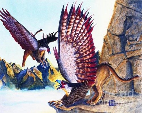 Two-Griffins-griffins-and-dragons-31901628-500-397.jpg
