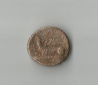 Tyche R.jpg