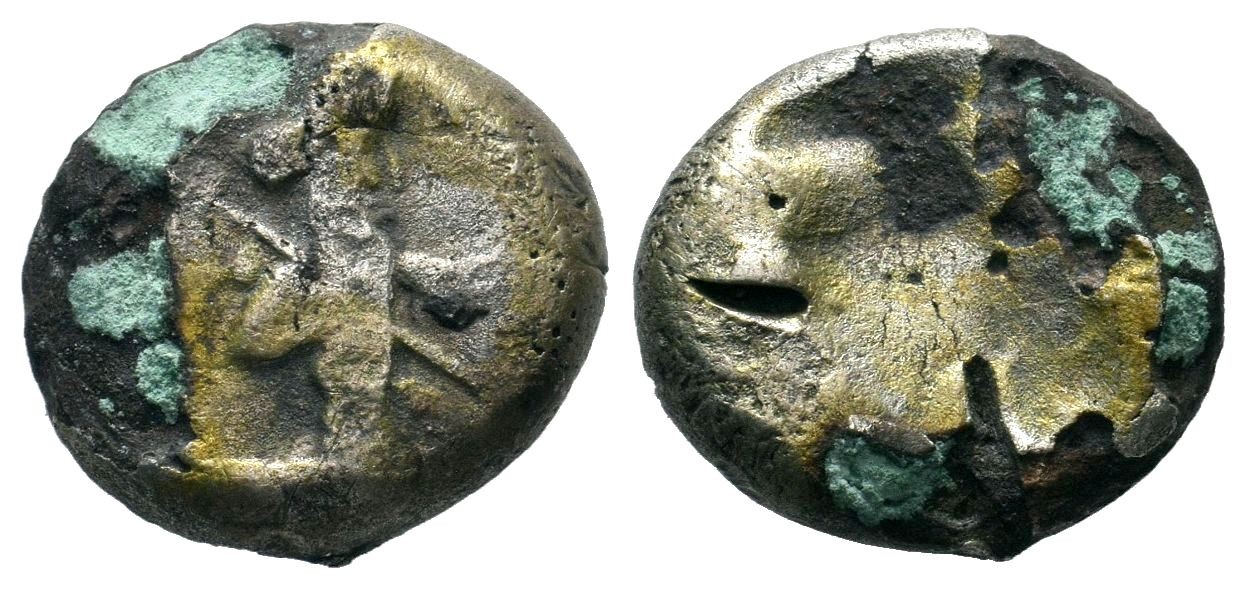 type iii fourree.jpg