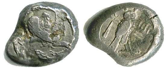 tyr chouette.jpg