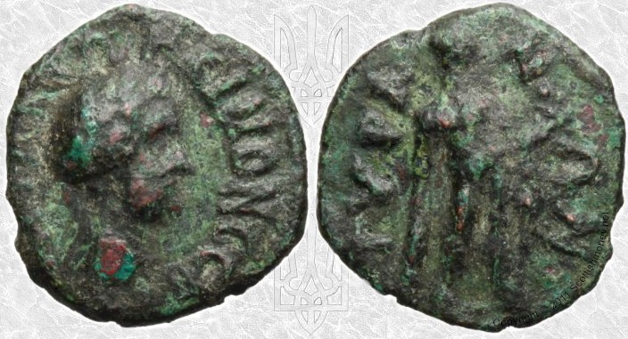 tyrasaeantoninuspius.jpg