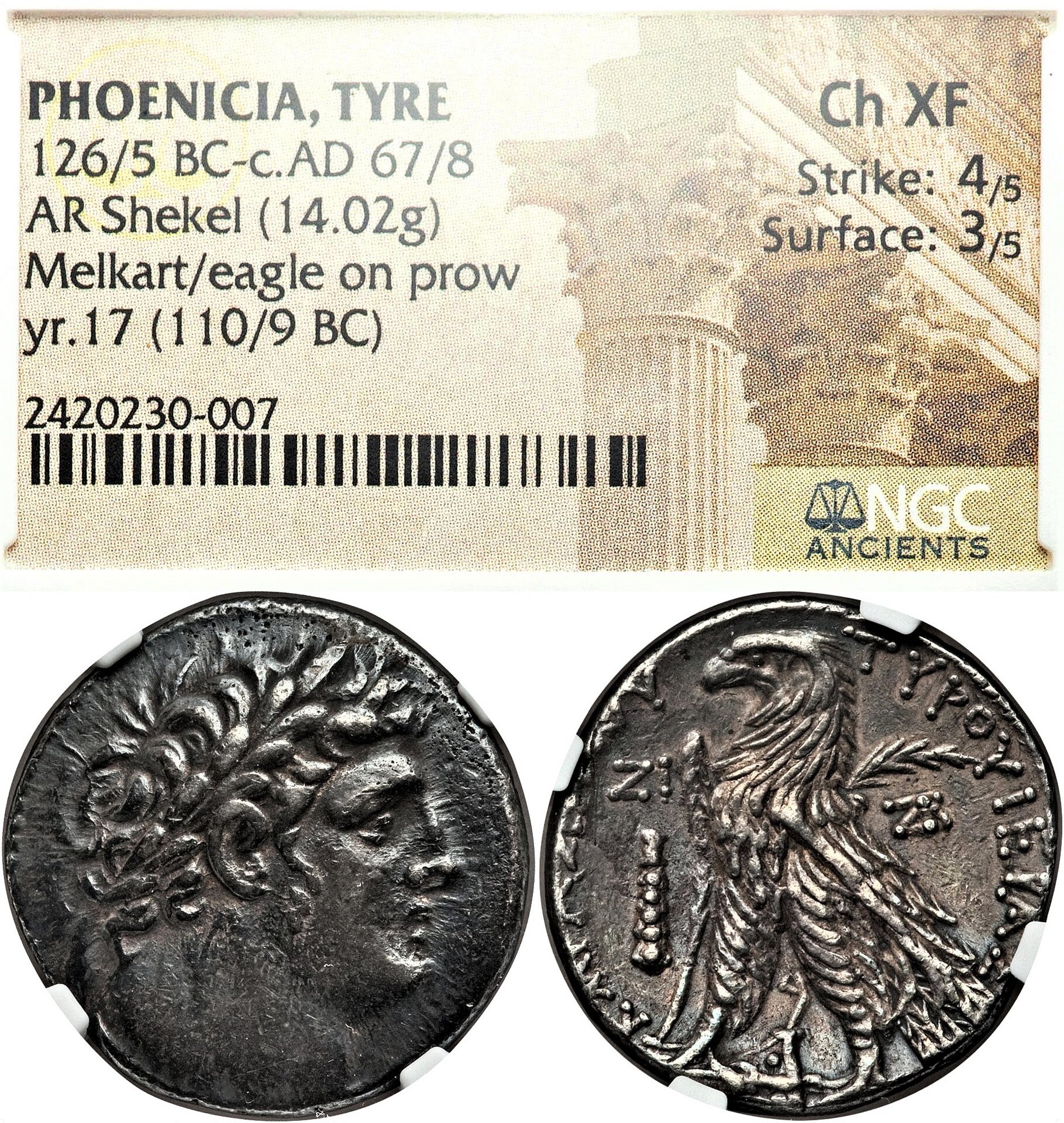 Tyre, Year 17 Shekel (2).jpg