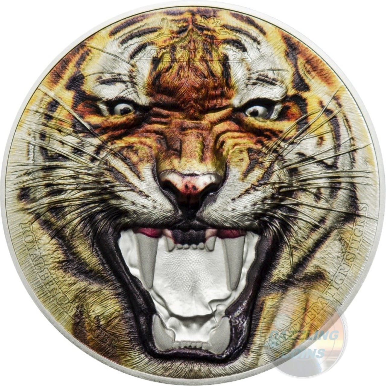 TZ1701_Rare_Wildlife_Bengal_Tiger_r__97526.1485918838.jpg
