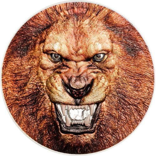 TZ1802_Rare_Wildlife-African-Lion_r__27338.1521316484 (1).jpg