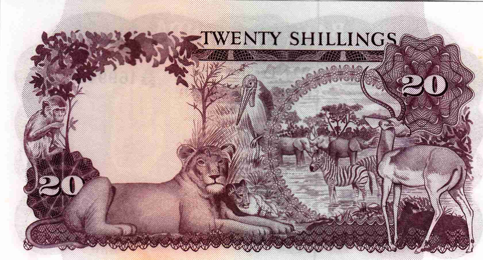 Uganda 20 shillings back.jpg