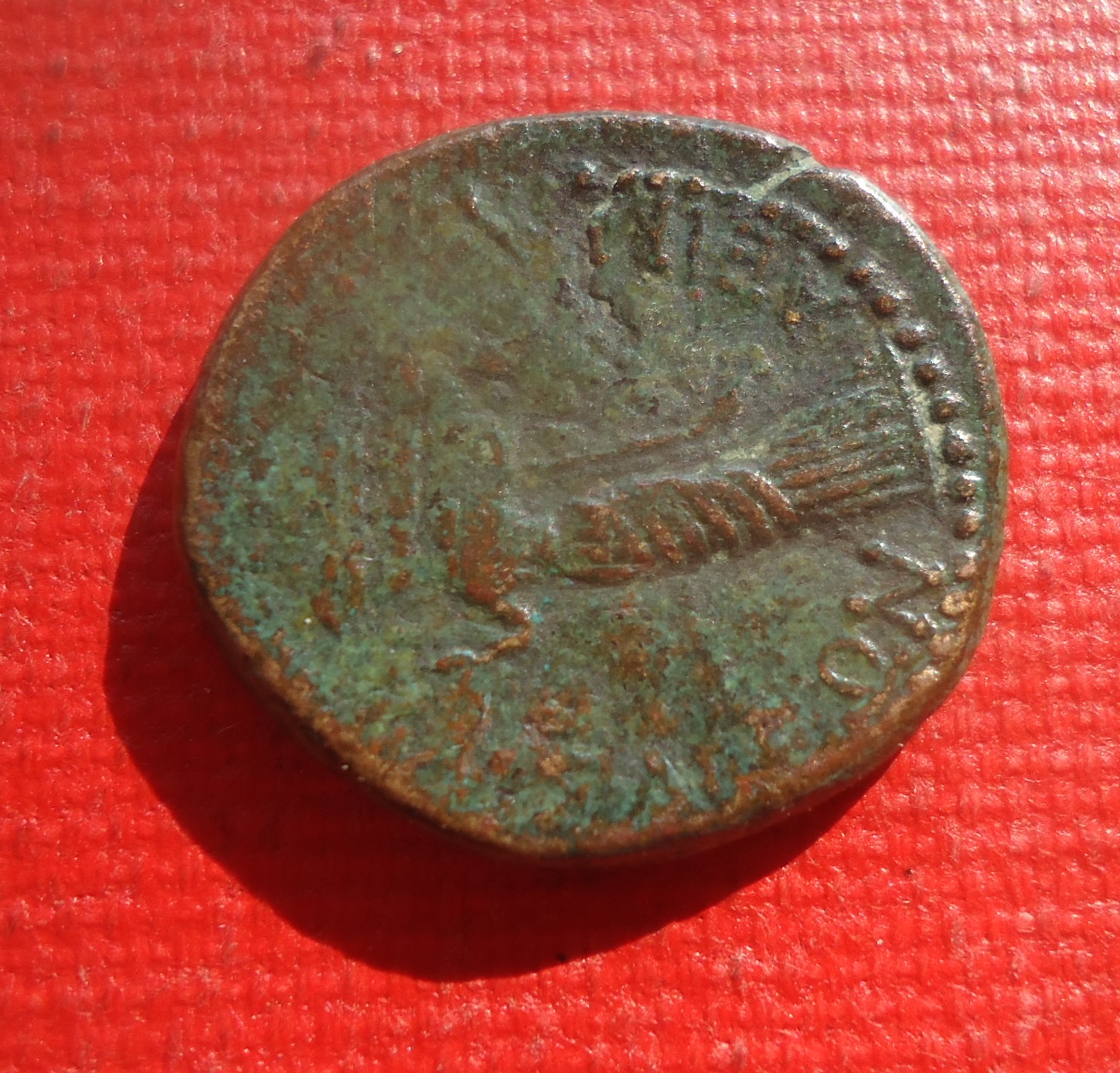 Uknown - AE Augustus NC lot Aug 2020 (10).JPG