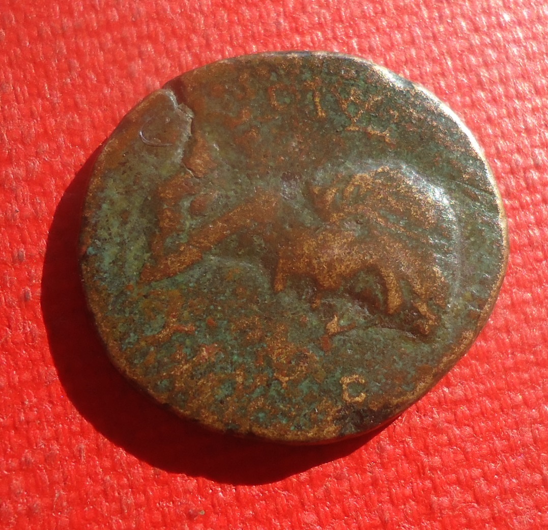 Uknown - AE Augustus NC lot Aug 2020 (3).JPG