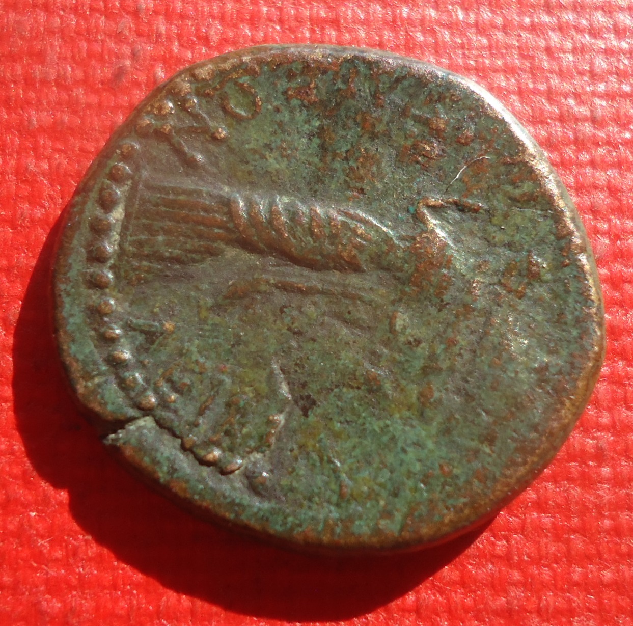 Uknown - AE Augustus NC lot Aug 2020 (7).JPG