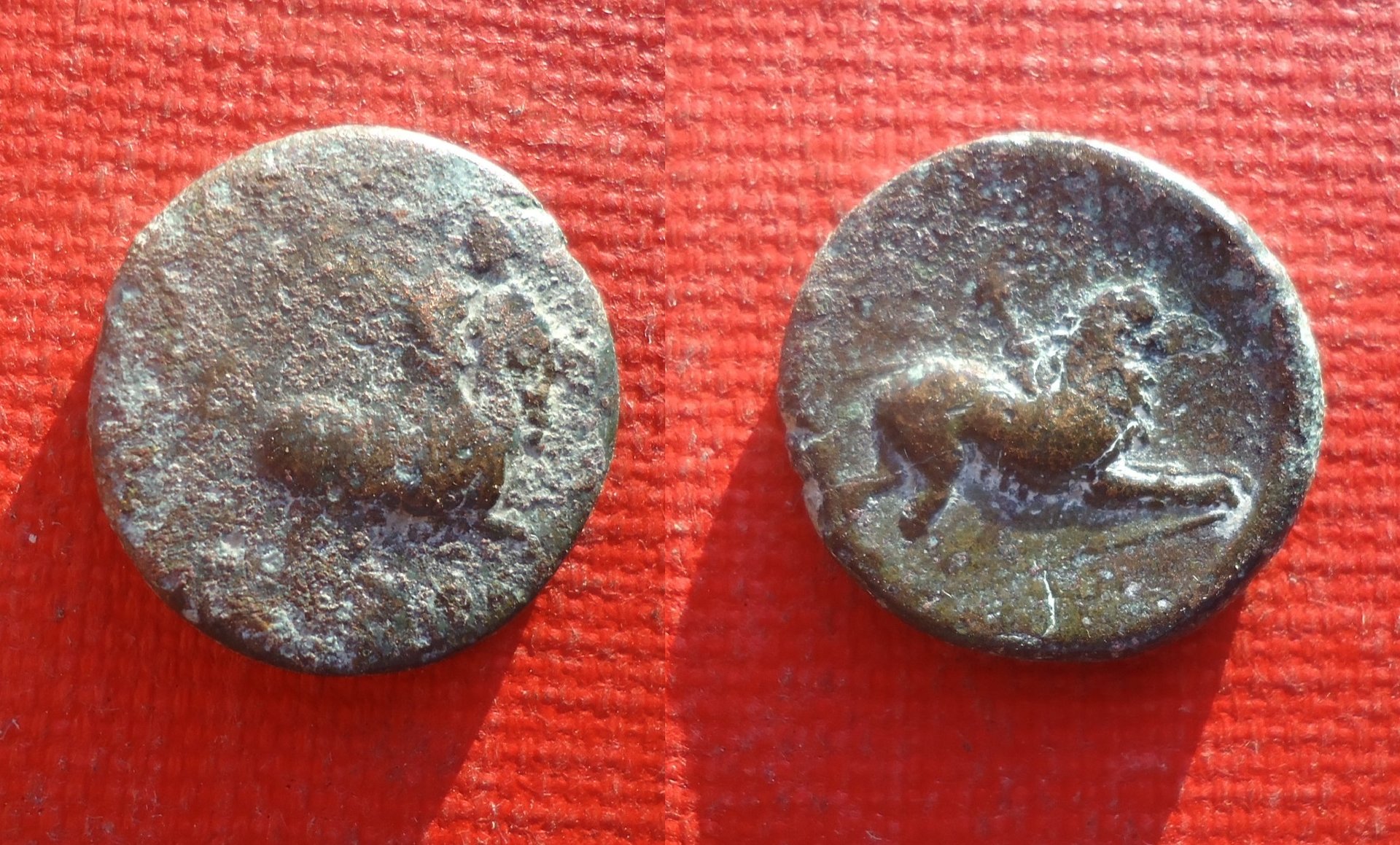 Uknown Lion Nov 2019 lot (0).jpg