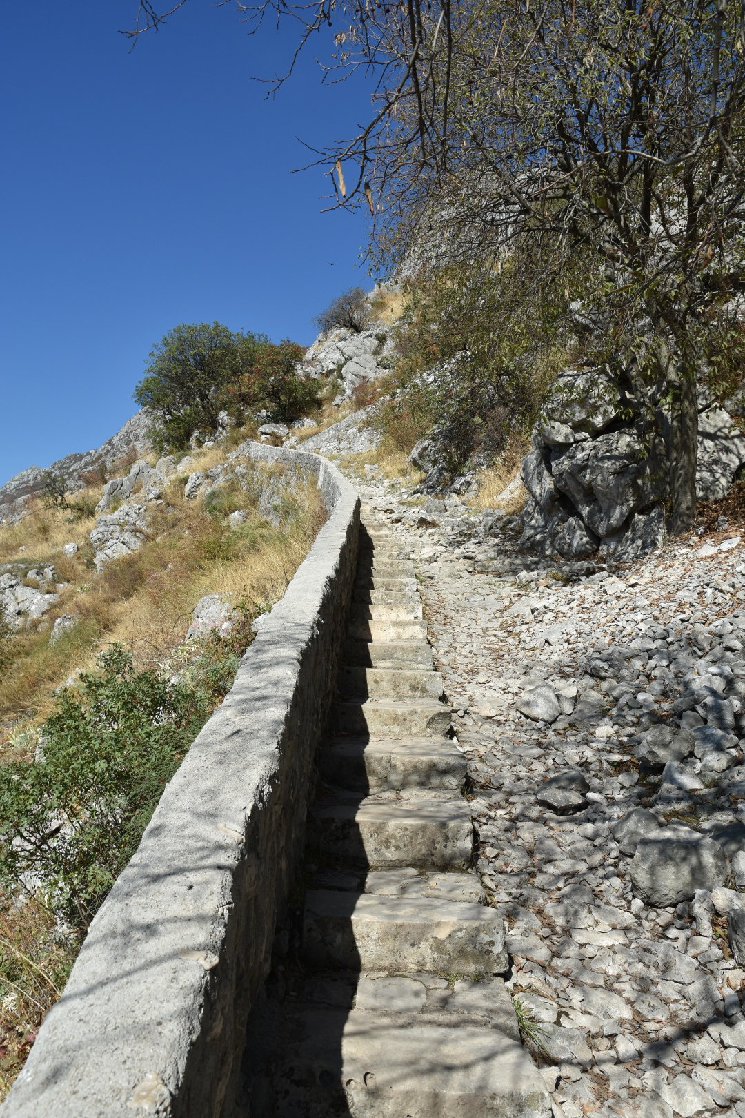 ULUJ3257.JPG
