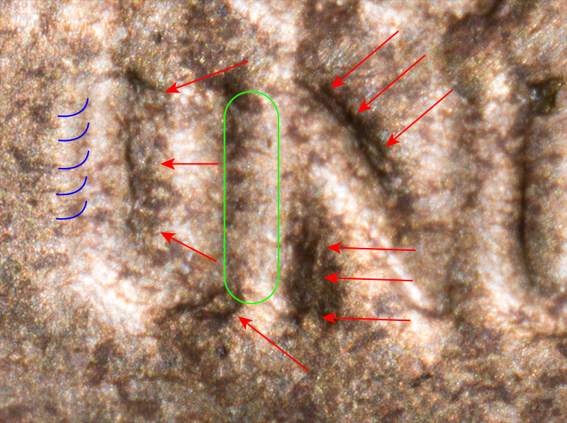 UN-Detail.jpg