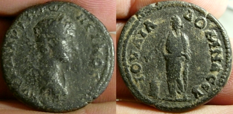 uncertianCaracalla2~0.jpg