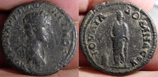 uncertianCaracalla2~0.jpg
