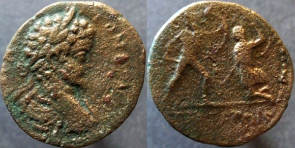 uncertianCaracalla5.jpg