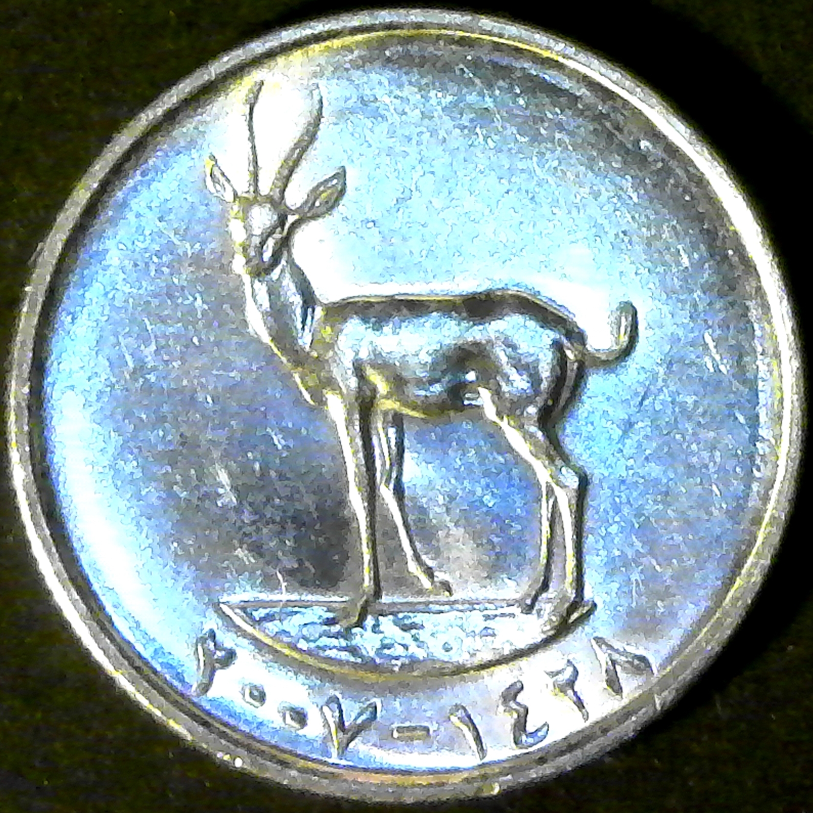 United Arab Emirates 25 Fils 2007 obv.jpg