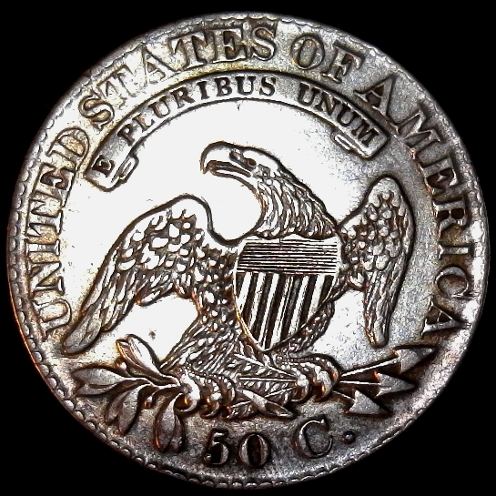 United States capped bust half 1828 rev 50pct less5.jpg