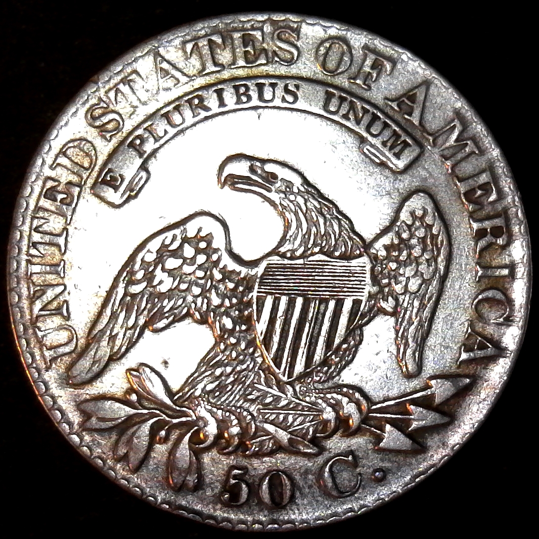 United States capped bust half 1828 rev.jpg