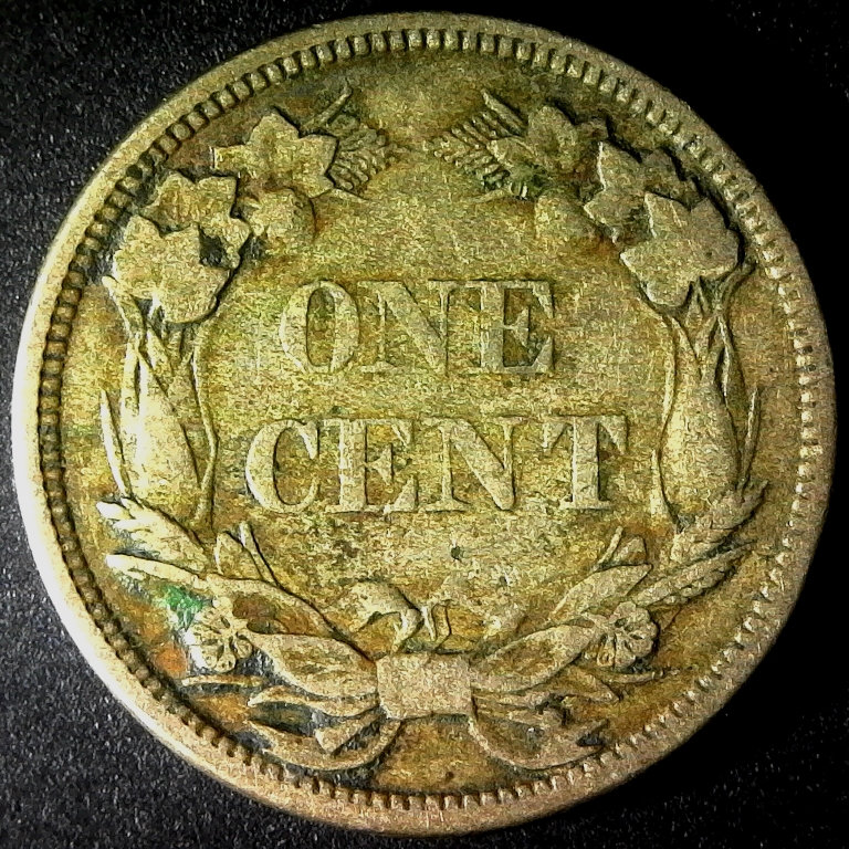 United States Flying Eagle Cent 1858 reverse DL.jpg