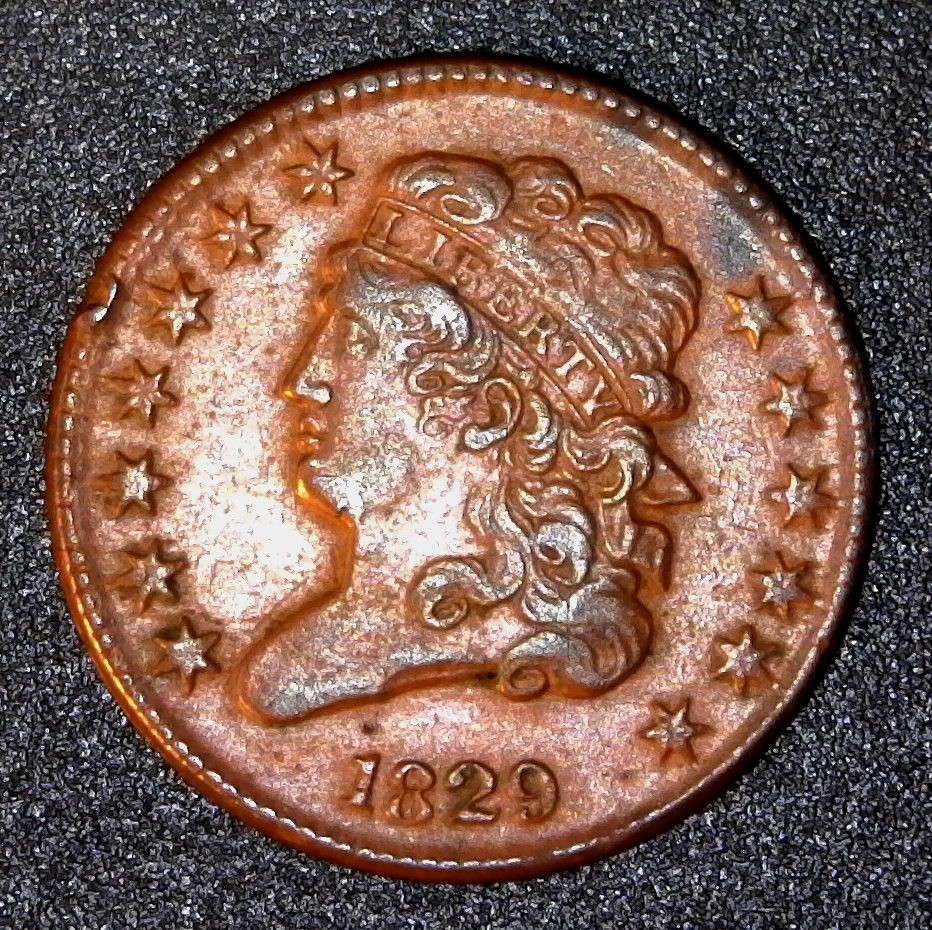 United States Half Cent 1829 obverse.jpg