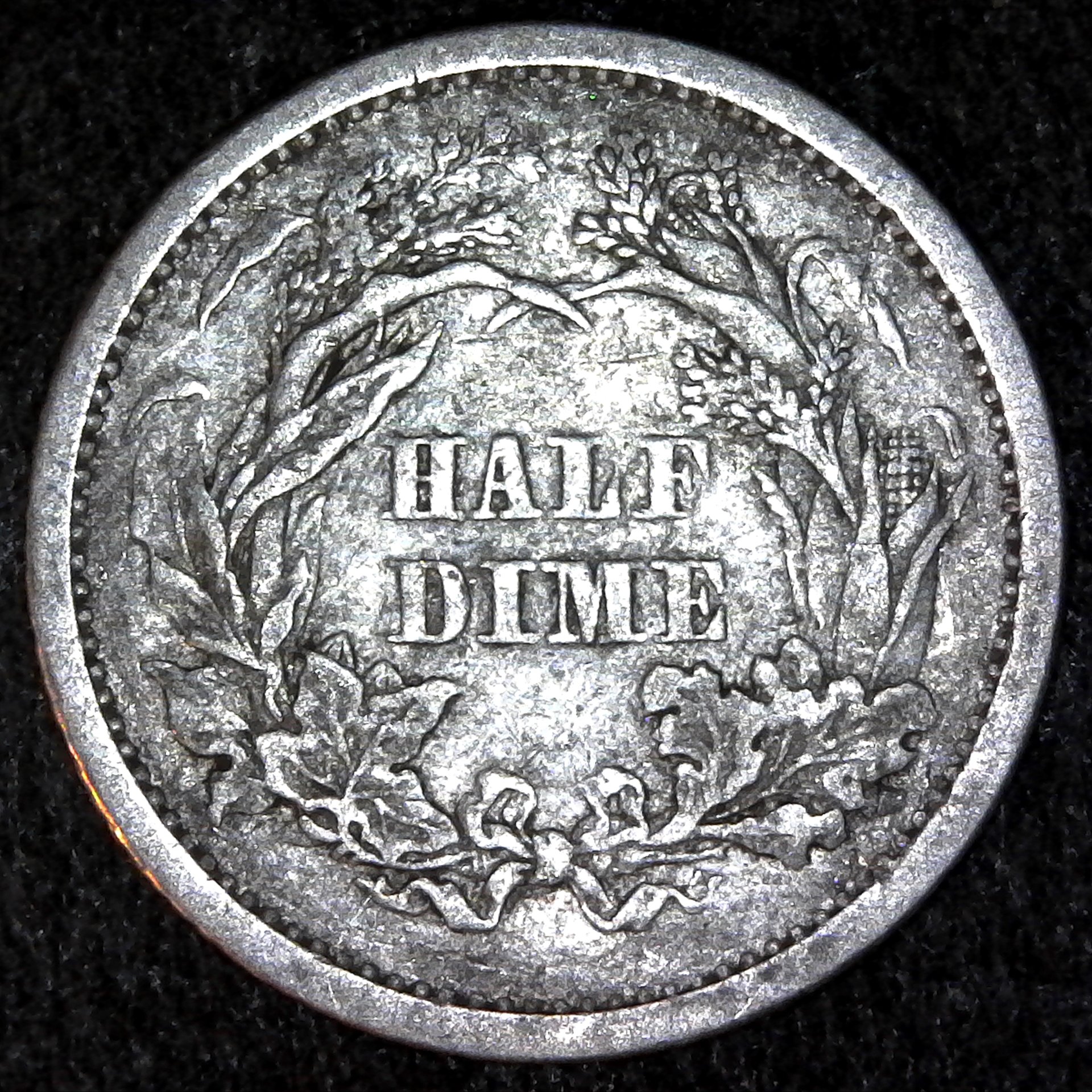 United States Half Dime 1862 rev.jpg