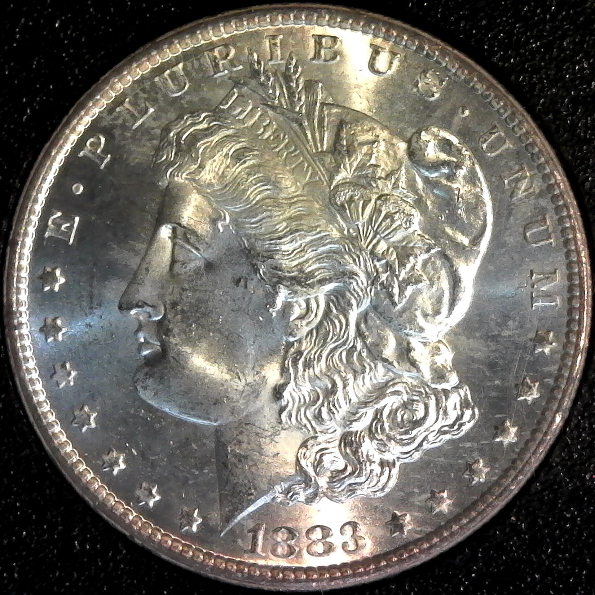 United States Ond Dollar 1883 CC obv A.jpg